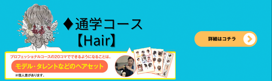 プロフェッショナルヘアコース案内